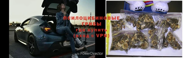 apvp Вязьма