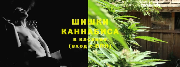 apvp Вязьма