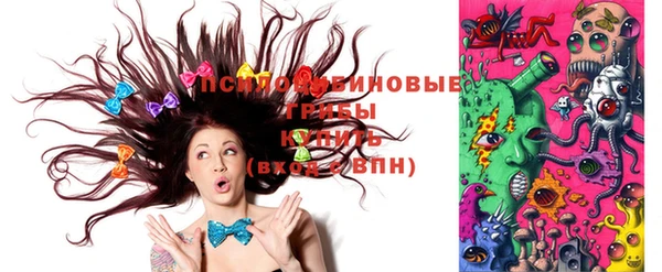 apvp Вязьма
