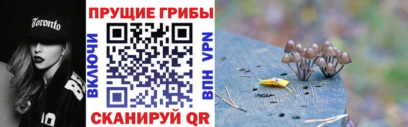 Купить где  Кирсанов  Галлюциногенные грибы мухоморы 