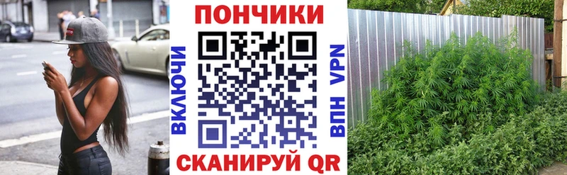 МАРИХУАНА индика  Купить  Кирсанов 
